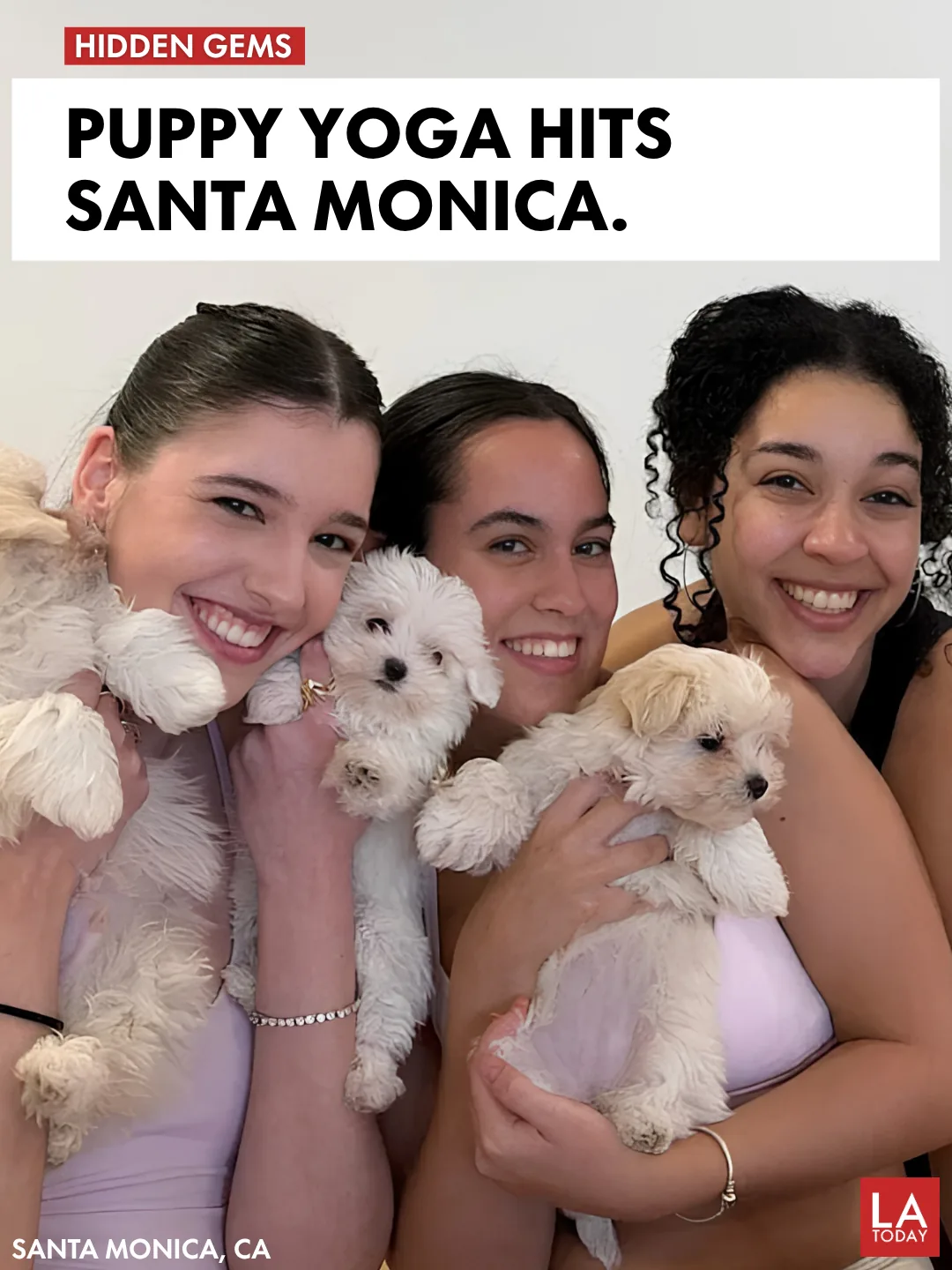 Three attendees holding puppies at a Puppy Sphere class in Santa Monica